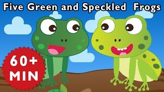 Five Green and Speckled Frogs and More  Nursery Rhymes from Mother Goose Club [upl. by Arrait]