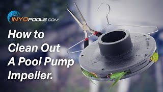 How To Clean Out A Pool Pump Impeller [upl. by Renaldo]