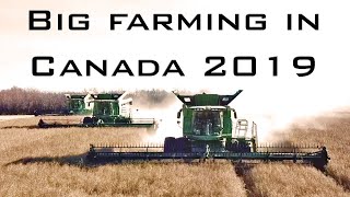 Big Farming in Canada 2019 [upl. by Dracir]