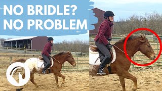 Part 2 HOW TO RIDE A HORSE WITHOUT A BRIDLE [upl. by Orvan]