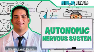 Neurology  Autonomic Nervous System [upl. by Heilman]