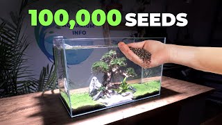 I Planted 100000 Seeds In A Fish Tank [upl. by Horne352]