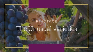 Learn wine Love wine Pinotage [upl. by Ariana]