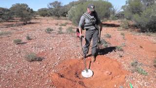 Gold Detecting Leonora Western Australia [upl. by Mcnamee]