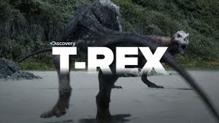 Exclusive Video of Tyrannosaurus Rex the KILLER [upl. by Aneetsirk228]