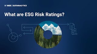 What are ESG Risk Ratings [upl. by Nosimaj]