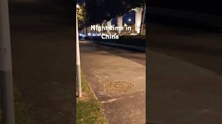 Nighttime in China china lifeinchina livinginchina travel youtube youtubeshorts 中国 foryou [upl. by Auhsaj234]