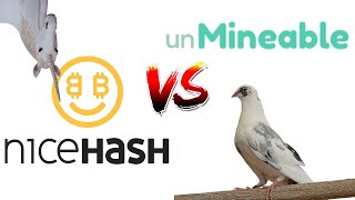 CPU Mining Nicehash vs Unmineable [upl. by Jeremiah]