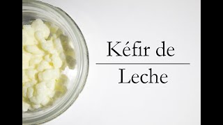 Cómo hacer Kéfir de Leche [upl. by Rucker110]