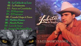 El Lobito de Sinaloa  quotLa celda De Un Locoquot [upl. by Elodie585]