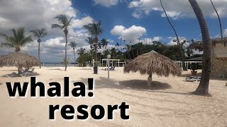 Boca Chica Resort Tour  whala [upl. by Tally]