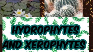 Hydrophytes and Xerophytes  Definations and Adaptations [upl. by Adlee920]