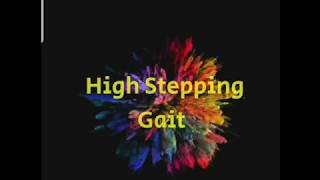 High stepping Gait explainedGait analysis [upl. by Lindie83]