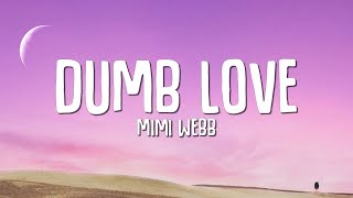 Mimi Webb  Dumb Love Lyrics [upl. by Bowen]