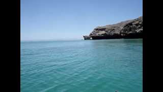 Jumping  Flying Rays Video  Kayaking near La Paz in Baja California Sur  Mexico [upl. by Blondelle]