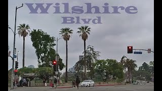 Wilshire Blvd  Los Angeles Driving Tour [upl. by Ellehcan]