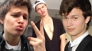 7 Times Ansel Elgort Made the Internet SWOON [upl. by Sholes]