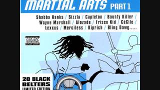 Martial Arts Pt1 Riddim Mix 2002 By DJWOLFPAK [upl. by Deach]