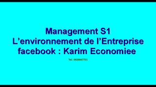 Management S1 quot L’environnement de l’Entreprise quot [upl. by Dunlavy233]