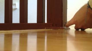 Fixing a Loose Newel Post Banister [upl. by Grous968]