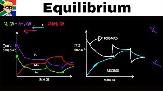 Equilibrium Graphs grade 12 Concentration [upl. by Ontina804]