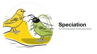 Speciation An Illustrated Introduction [upl. by Graehl18]