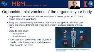 Brain Organoids 101 [upl. by Acemat]