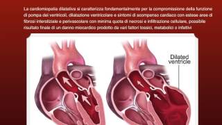 ECG Base Introduzione FOAMed [upl. by Lartnom790]