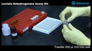 Lactate Dehydrogenase Assay Kit [upl. by Lindblad]