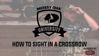 How To Sight In A Crossbow Scope [upl. by Rycca]