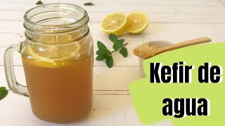 Cómo hacer KEFIR DE AGUA TIBICOS [upl. by Akeenat]