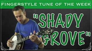 3 Finger Banjo  Tune and Tab of the Week quotShady Grovequot [upl. by Schwinn]