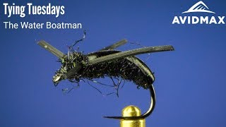 How to tie the Water Boatman  AvidMax Fly Tying Tuesday Tutorials [upl. by Aivatnwahs759]