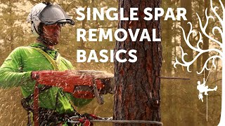 Spar removal basics  SRT tree climbing tutorial  Arborist Howto [upl. by Teddie]