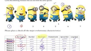 AP Biology  Cladogram Practice with Minions [upl. by Eldnar533]