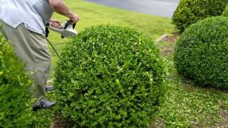 How to trim a perfectly round shrub [upl. by Yahska]