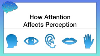 How Attention Affects Perception [upl. by Ahoufe117]