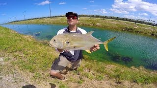 Ultra Clear DITCH Fishing In MIAMI MASSIVE Canal Jack Crevalle [upl. by Hgielsel689]