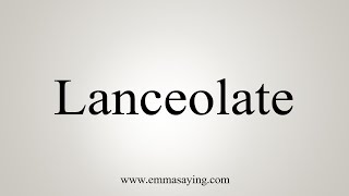 How To Say Lanceolate [upl. by Leinehtan]