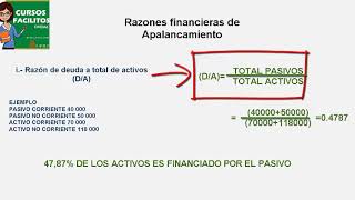 RATIOS DE APALANCAMIENTO [upl. by Rector]