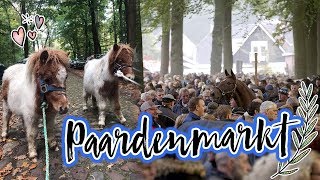 Vlog23 Ponys redden van de slacht  Paardenmarkt Zuidlaren [upl. by Hteboj]