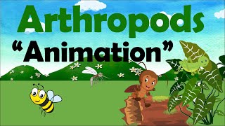 ARTHROPODS  Biology Animation [upl. by Zaria809]