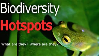 What are Biodiversity hotspots [upl. by Sikko]