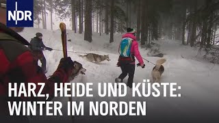 Erlebnis Winterzauber  die nordstory  NDR Doku [upl. by Hertz]