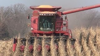 Galusha Farm  Case IH 2388 Combine on November 15 2012 [upl. by Melloney940]