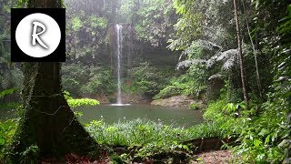 10 Hrs Rainforest amp Rain for Relaxing Nature Sounds for Sleep Meditation Insomnia SPA Study [upl. by Ettegroeg]