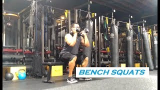 BENCH SQUATS  A Quick Guide [upl. by Truitt]