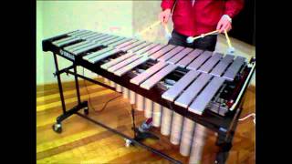 Vibraphone Techniques [upl. by Bina]