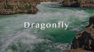 Dragonfly  The Gothard Sisters  Official Lyric Video [upl. by Conny731]