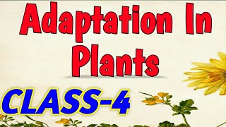 ADAPTATION IN PLANTS  Class 4 [upl. by Asirrac265]